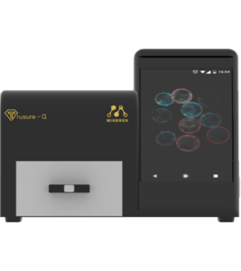 cvd-hpht detector